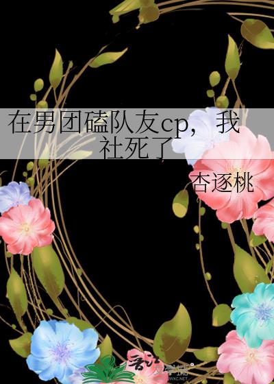 我在男团中嗑cp小说